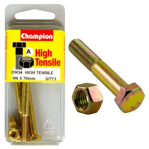 Champion M6 x 70 Bolt & Nut (A) - GR8.8