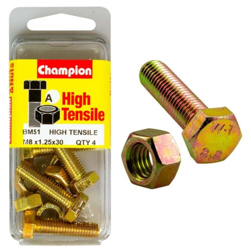 Champion M8 x 30 Set Screw & Nut (A) - GR8.8