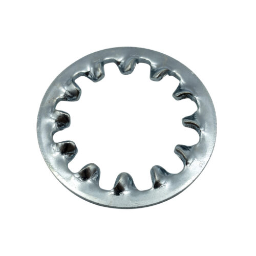 Champion 6mm Internal Star Washer - 100pk